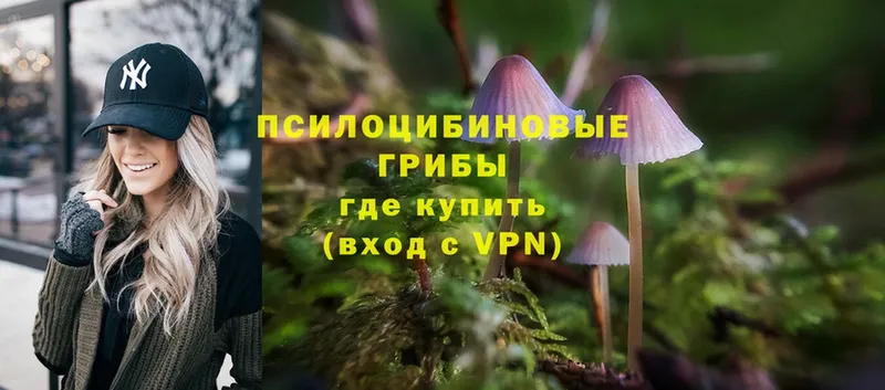 mega ONION  Бахчисарай  Псилоцибиновые грибы прущие грибы 